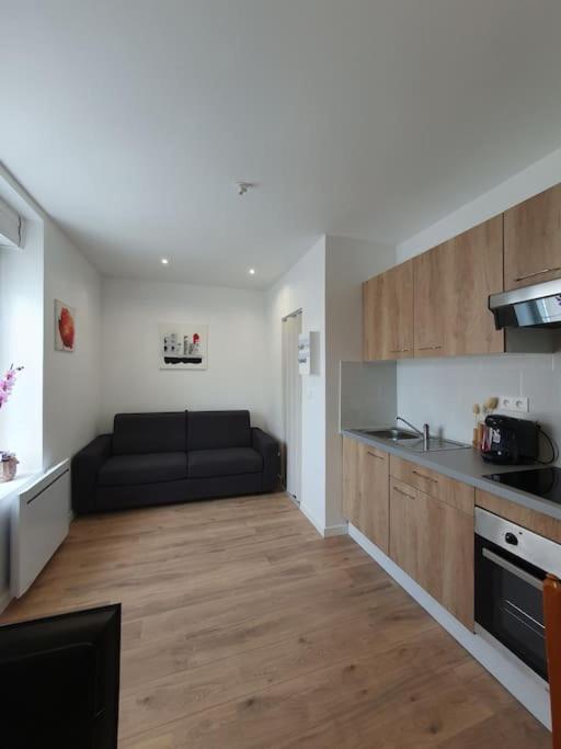 Appartement Studio Coquelicot à Nancy Extérieur photo