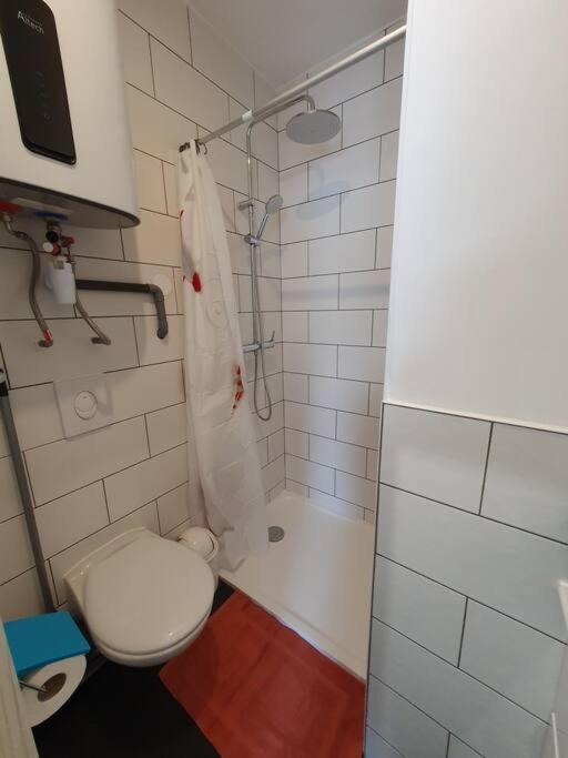 Appartement Studio Coquelicot à Nancy Extérieur photo