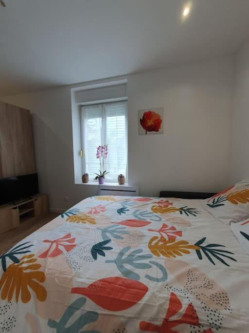 Appartement Studio Coquelicot à Nancy Extérieur photo